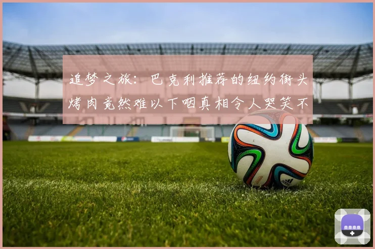 追梦之旅：巴克利推荐的纽约街头烤肉竟然难以下咽真相令人哭笑不得