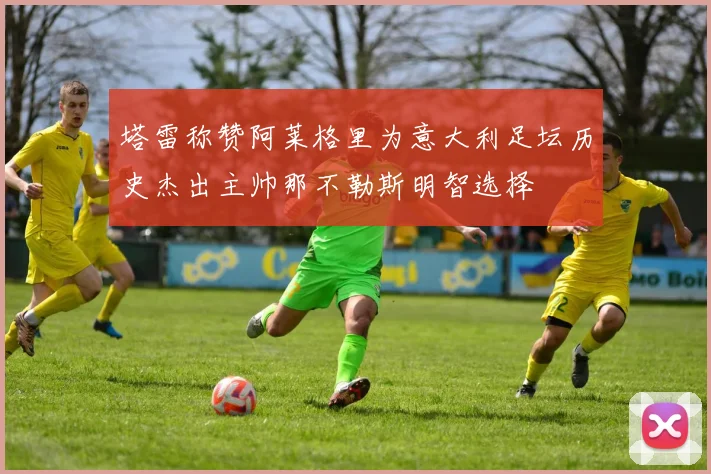 塔雷称赞阿莱格里为意大利足坛历史杰出主帅那不勒斯明智选择