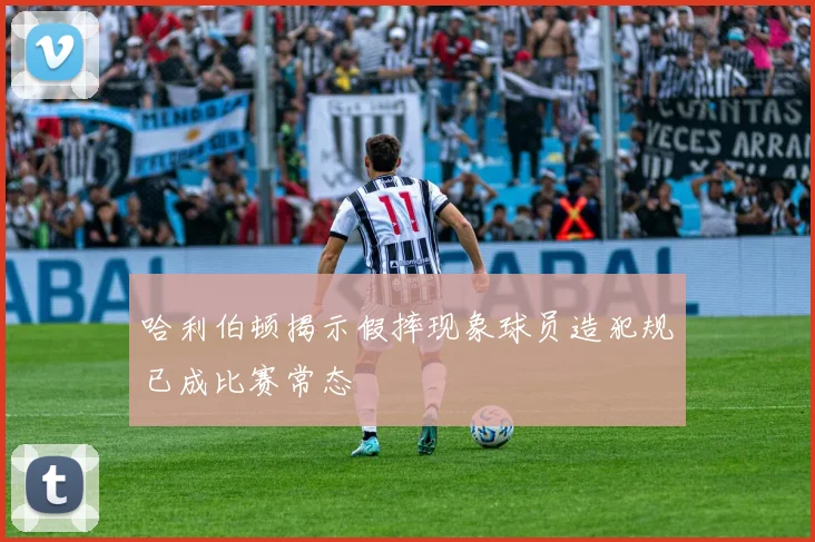 哈利伯顿揭示假摔现象球员造犯规已成比赛常态